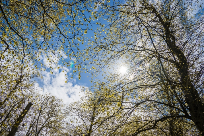 Photo 05-05-2021, 13 42 18.jpg